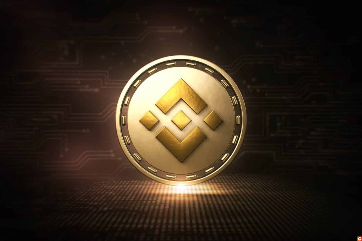 BNB coin